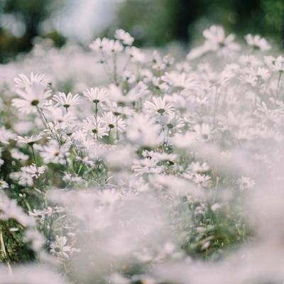 金沙8888js官方手机app下载